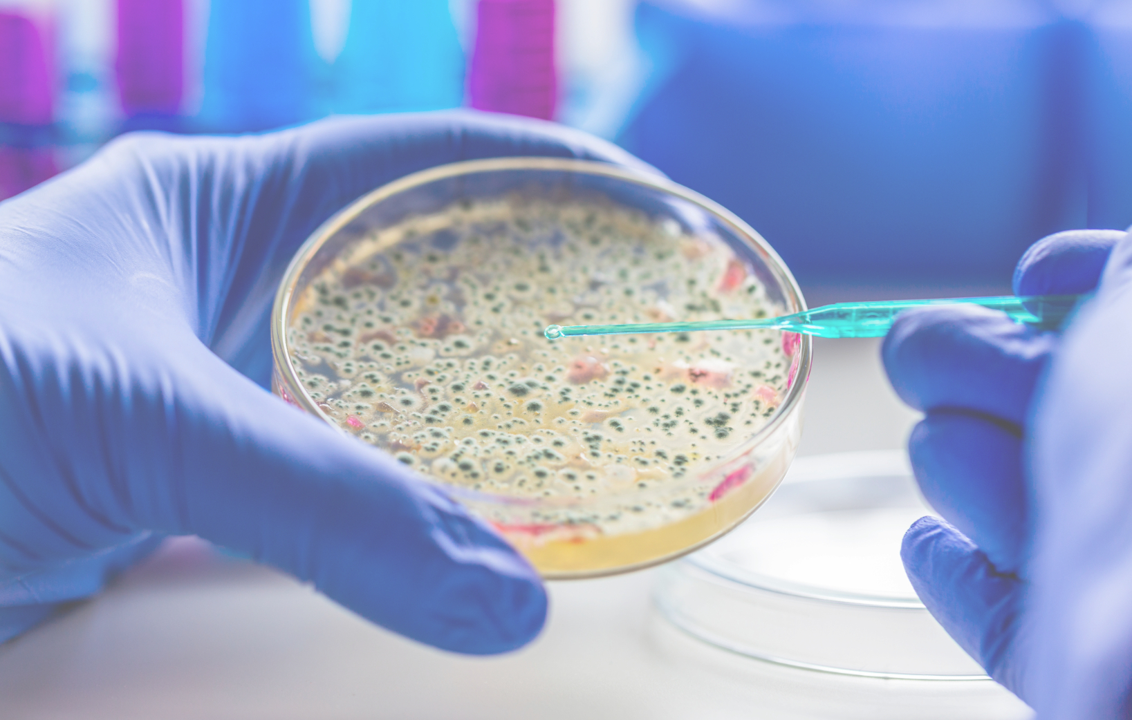 Microbial nutrition