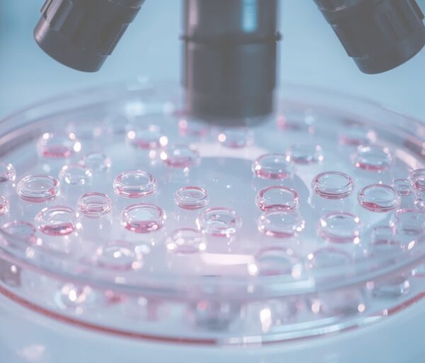 peptones microorganism culture